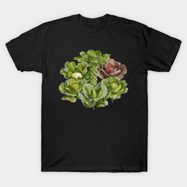 Brassicas! T-Shirt by MichaelaGrove